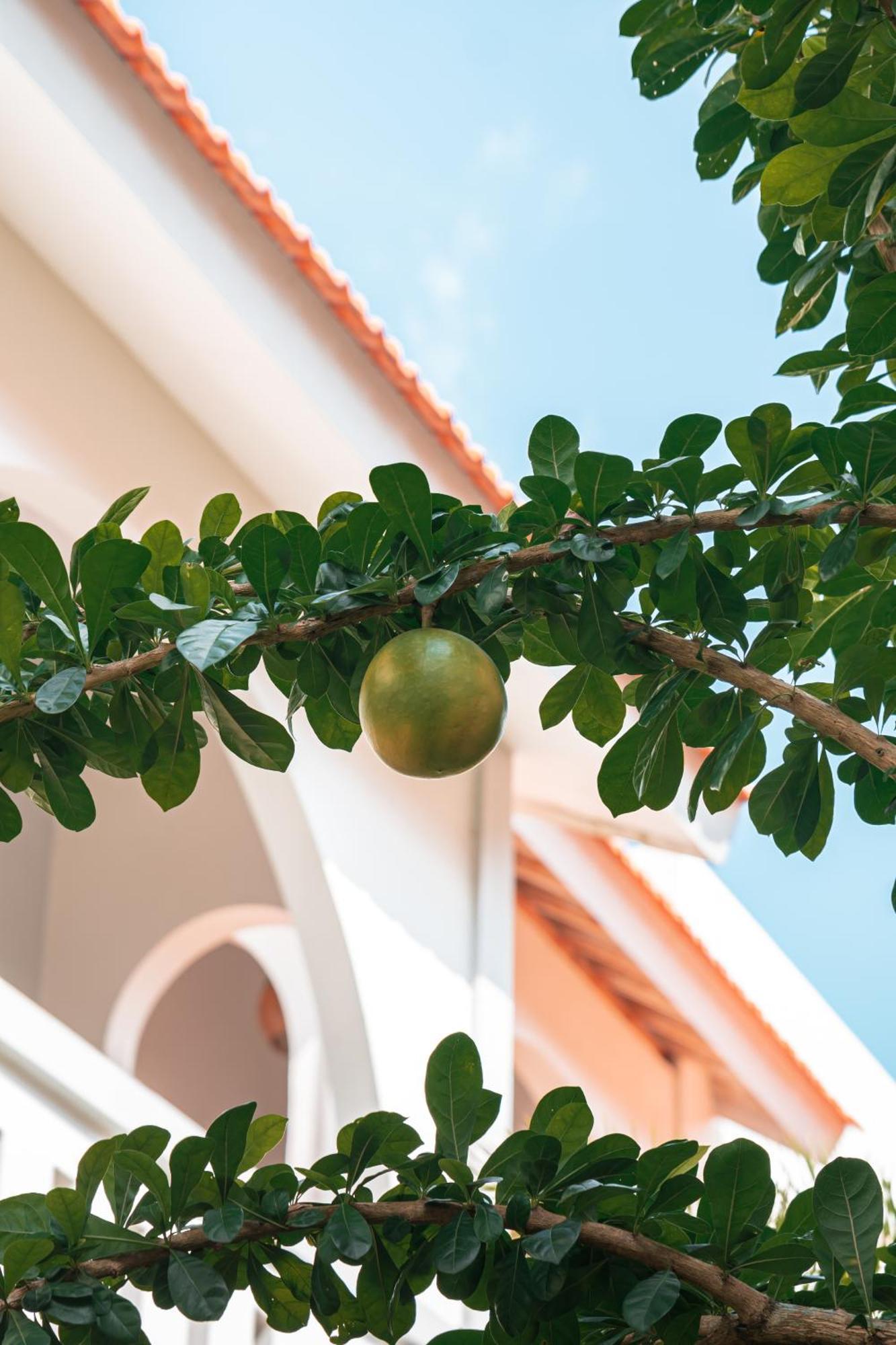 Mahalona Bali Stay Canggu  Ngoại thất bức ảnh